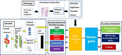 Pilot study for generating and assessing nomograms and decision curves analysis to predict clinically significant prostate cancer using only spatially registered multi-parametric MRI